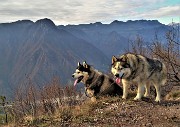 77 Bella sorpresa...reincontro Aron e Leo, incontrati anni fa al Passo San Marco